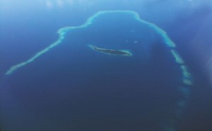 Namena Marine Reserve