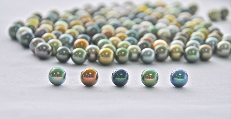 Fiji Pearls