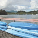 Waitui paddling