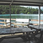 Waitui deck