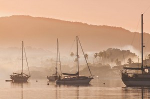Pink harbour by Tor Johnson