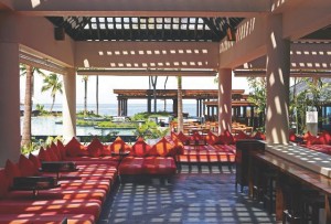 Chime Day Beds and Flying Fish