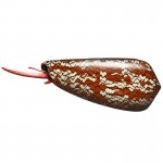 Cone shell