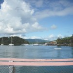 Waitui view