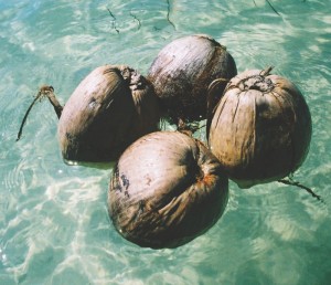 Coconuts