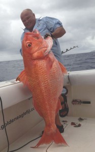 Ruby Snapper caught onboard Golden Eagle while fishing Kadavu waters.