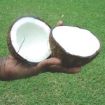 coconut four