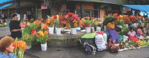 Suva Market women
