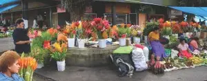 Suva Market women