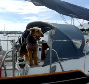 YachtingPets