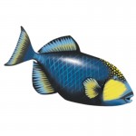 Triggerfish