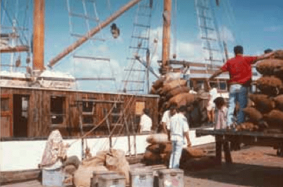 Copra Schooner