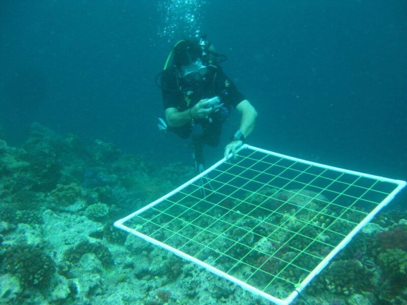 On the shallow reefs fringing Taveuni Island, coral rubble from storms is already consolidating into stable substrate and being colonised by new corals.
